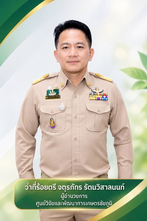แนวตั้ง