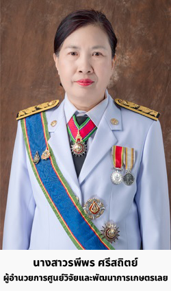 แนวตั้ง