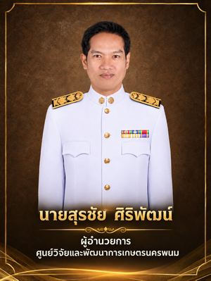 แนวตั้ง