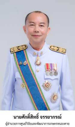 แนวตั้ง