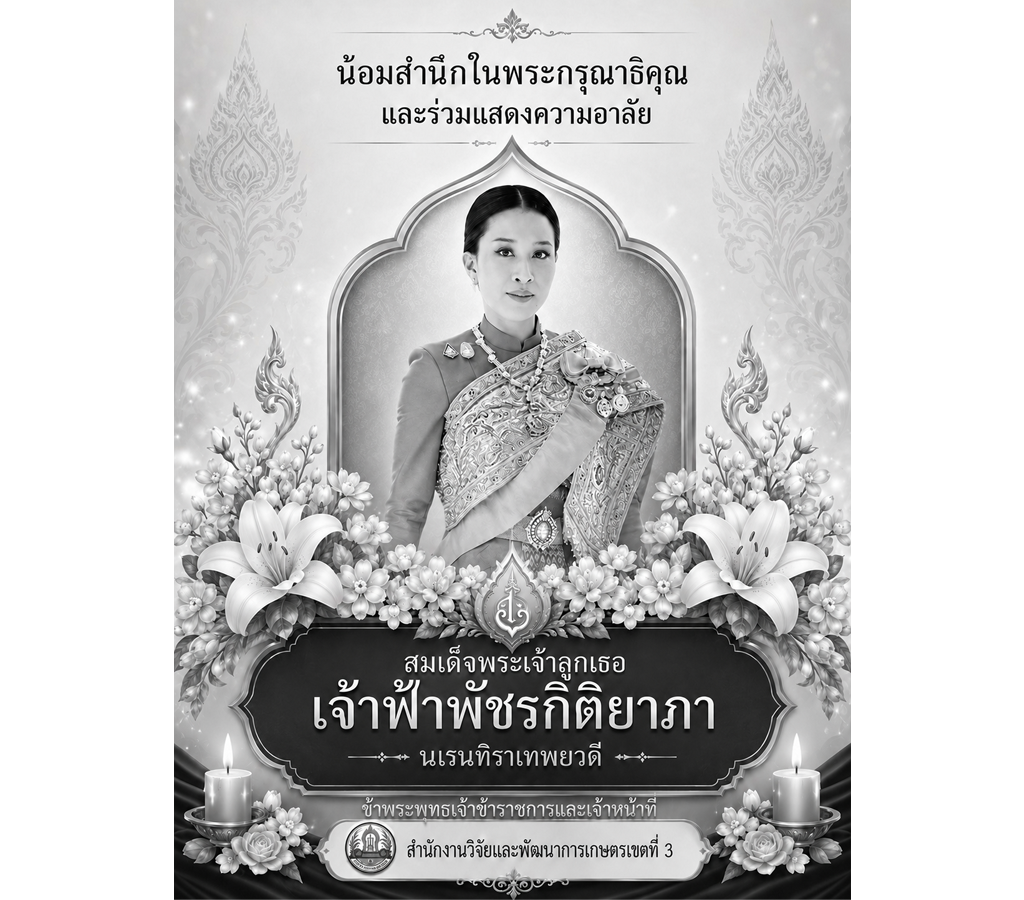 องค์ภา