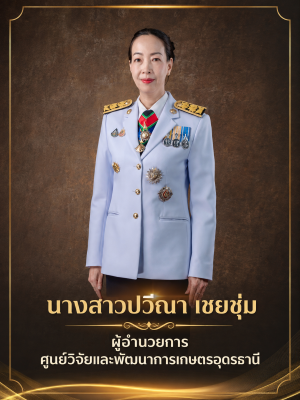 แนวตั้ง